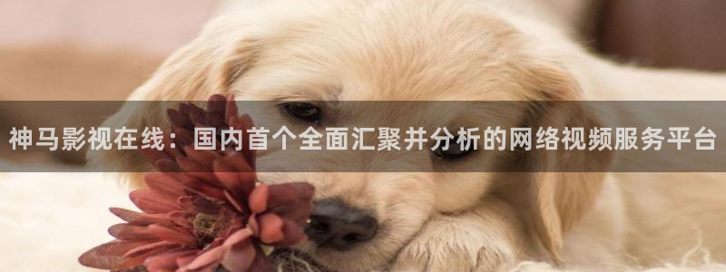 寒战2电影天堂：神马影视在线：国内首个全面汇聚并分析的网络视频服务平台