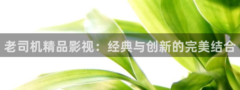 电影天堂碟中谍：老司机精品影视：经典与创新的完美结合
