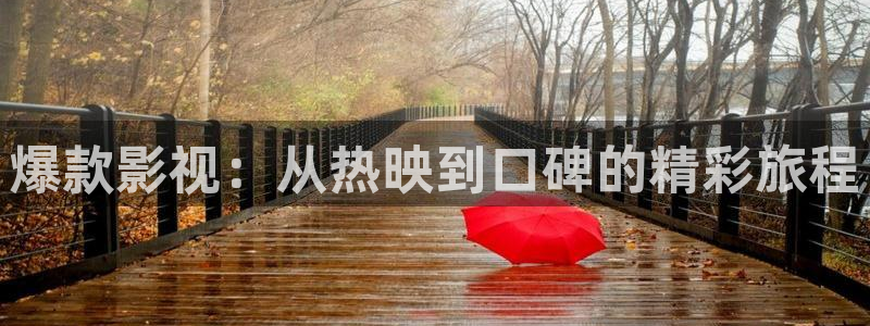 天堂观影：爆款影视：从热映到口碑的精彩旅程