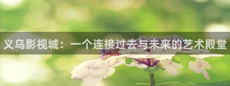 电影天堂网在线观看：义乌影视城：一个连接过去与未来的艺术殿堂