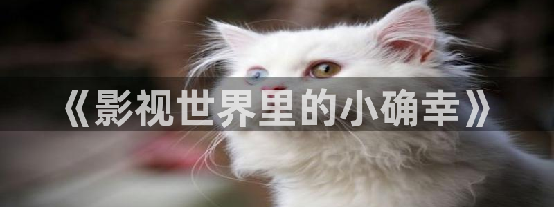 李丽珍电影天堂：《影视世界里的小确幸》